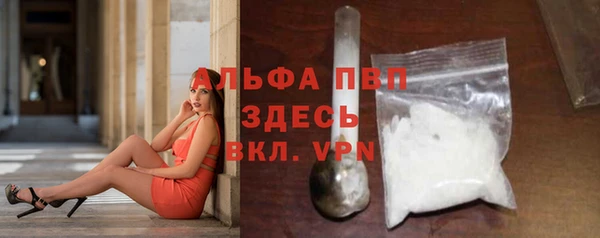 стафф Зерноград