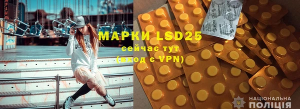 стафф Зерноград